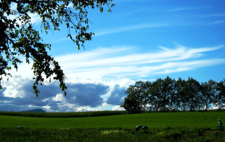 2011-9-20～白石近郊 005.jpg